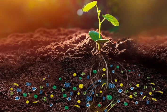 Curso gratuito aborda análise genética do microbioma do solo