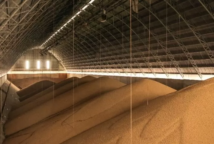 Armazenar na fazenda gera ganhos de até 55%