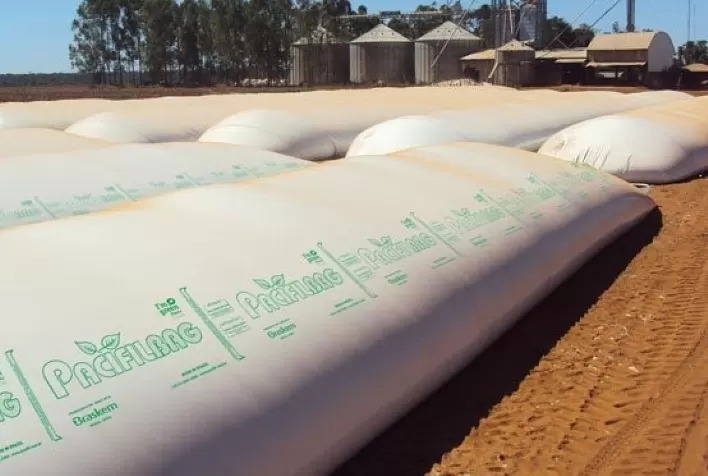 Mercado de silo bolsa cresce mais de 36% em 2020