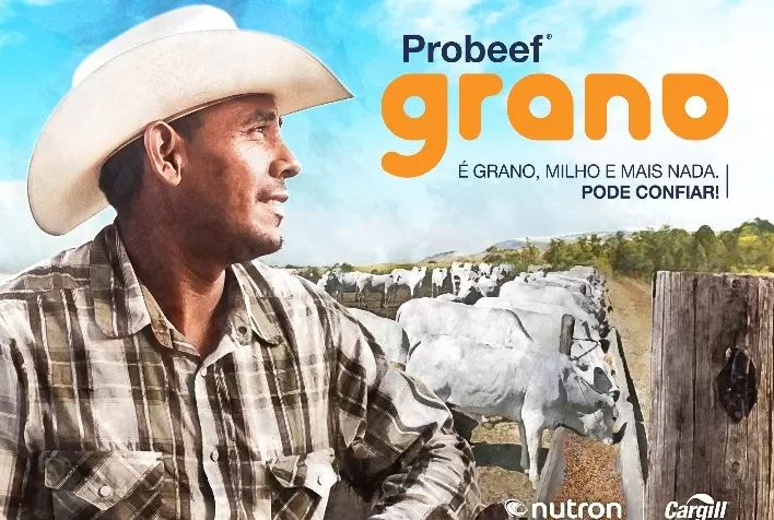 Cargill Nutrição Animal renova sua tecnologia para confinamento com grão inteiro