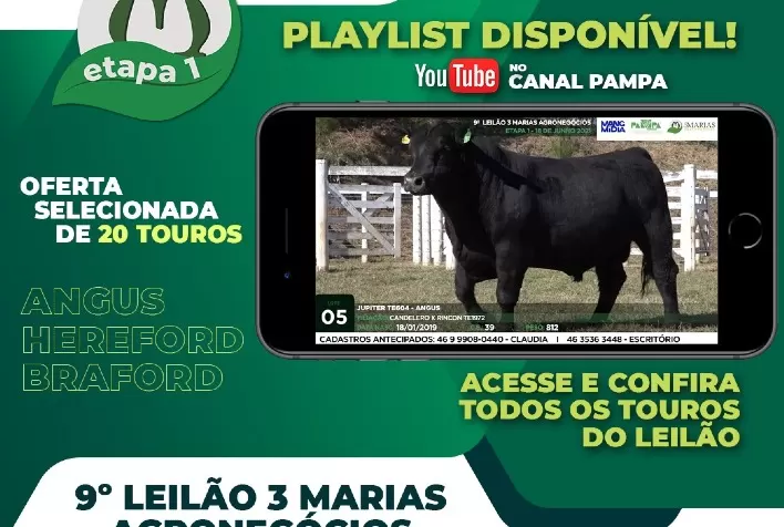 3 Marias Agronegócios ofertará reprodutores de ponta da raça Angus