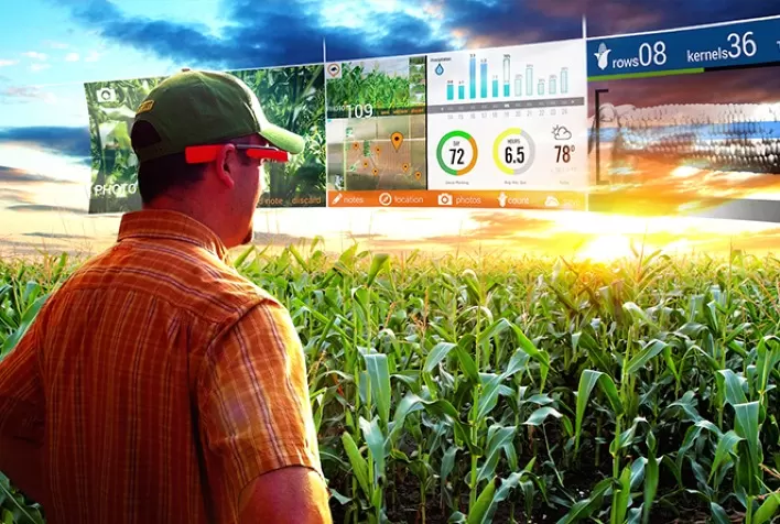 Crescimento do setor de insumos agrícolas abre oportunidade para profissionalização e investimento em Marketing