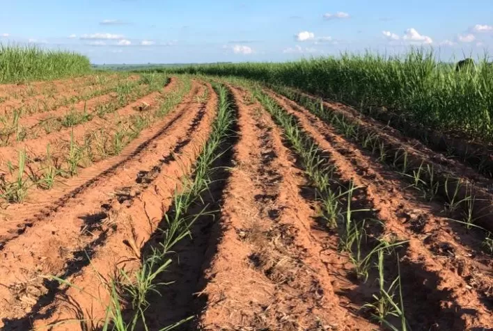 Com estrutura exclusiva para cana-de-açúcar, Albaugh leva amplo portfólio a evento de agronegócios da Copercana