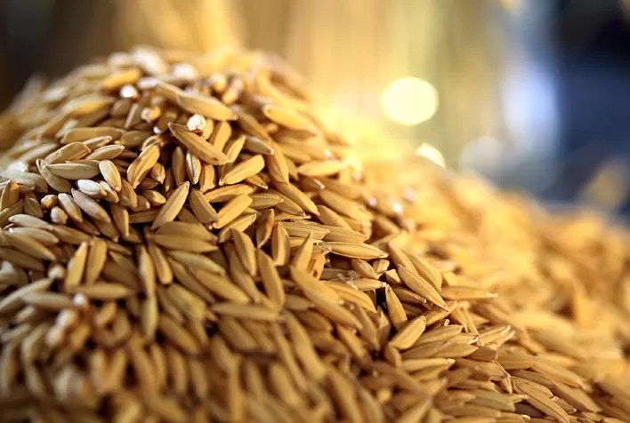 Queda em 30 dias se aproxima de 11% no mercado gaúcho de arroz