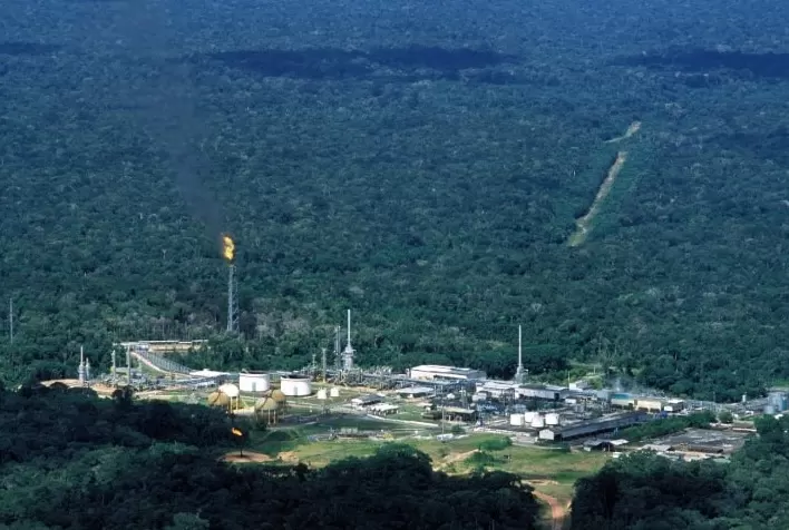 Eneva e Embrapa firmam acordo de cooperação para desenvolver projeto de reflorestamento no Amazonas