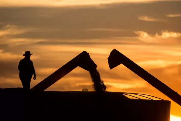 A agricultura e o sistema alimentar no novo capitalismo