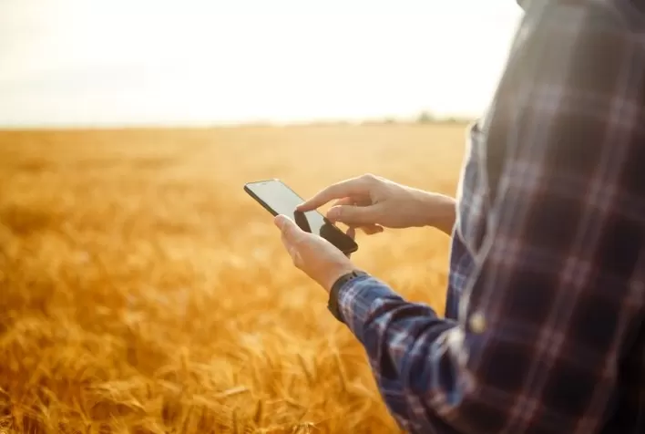 CAPAL auxilia cooperados com lives sobre mercado agropecuário desde o início da safra verão 2020