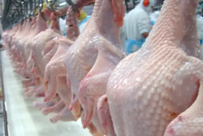 No acumulado do ano, apenas frango inteiro registra aumento de preço no mercado externo