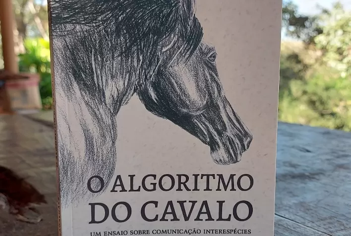 Como os cavalos pensam: especialista lança obra com metodologia baseada no vínculo afetivo para doma e treino do animal