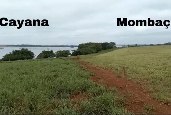 Agropecuarista de Itumbiara (GO) atesta ótimos resultados com uso da Brachiaria Cayana da Barenbrug