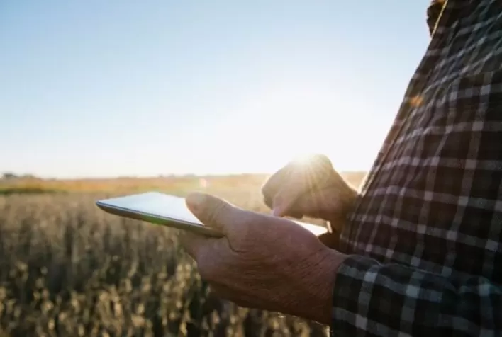 BB Seguros divulga resultados da plataforma Broto e anuncia parcerias com foco na sustentabilidade
