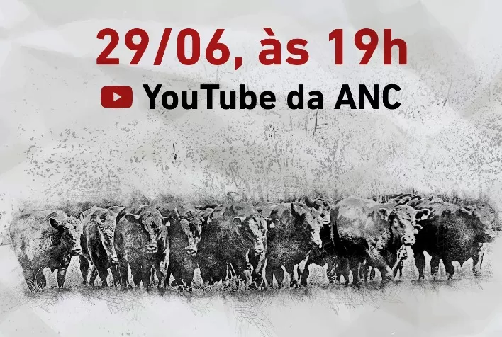 Sumário de Touros ganha versão digital
