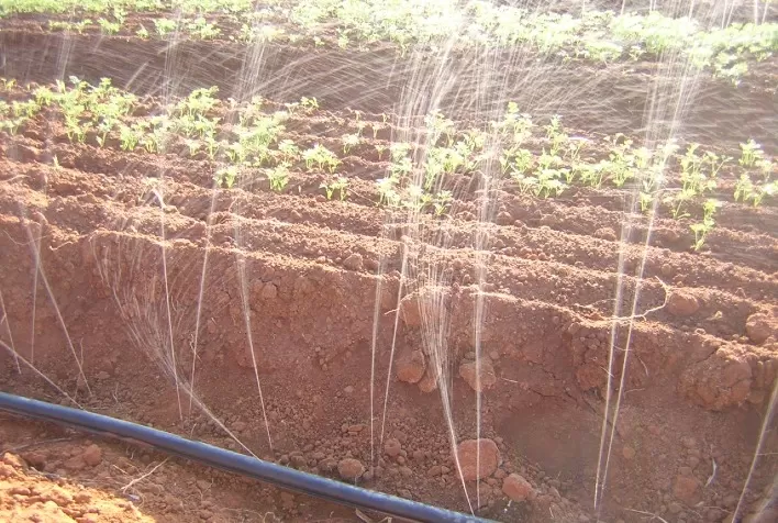 Como a irrigação pode aumentar a produtividade?