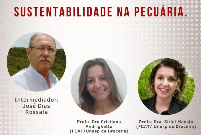 “Práticas de bem-estar respeitam os bovinos, aumentam produtividade e reduzem perdas de carne”, explicam especialistas da UNESP de Dracena