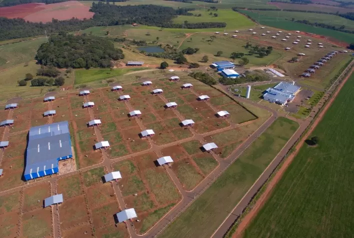 Central Bela Vista cresce 350% em quatro anos e prevê expansão ainda maior em 2021