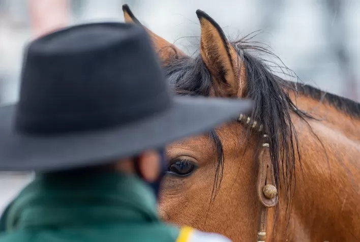 Calendário de provas do Cavalo Crioulo é adaptado para integrar a Expointer