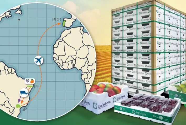 Soluções de embalagens DaColheita contribuem para a redução da pegada ambiental no transporte de frutas