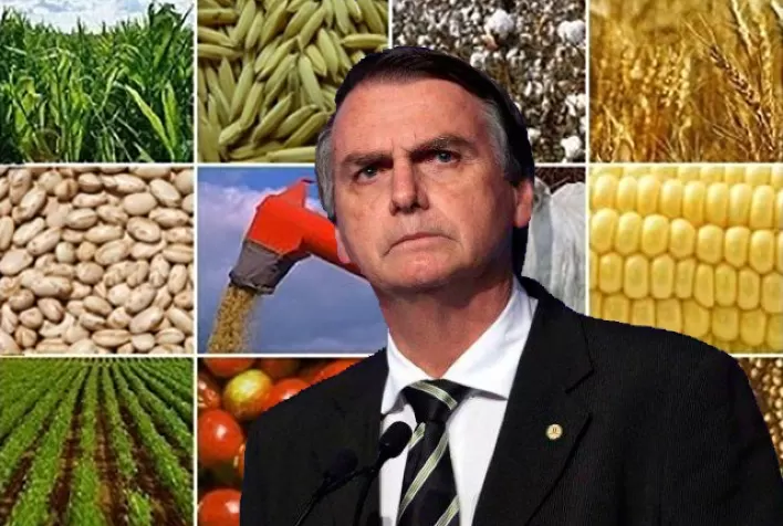 Bolsonaro diz que safra brasileira chegará a 300 milhões de toneladas