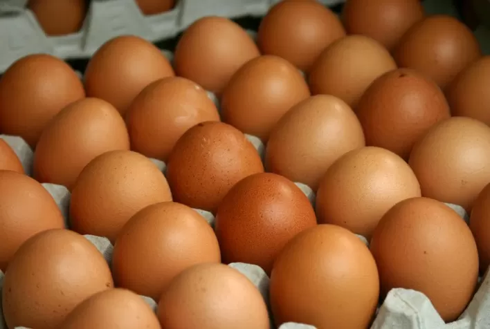 Índices de evolução dos grãos permanecem acima dos alcançados na comercialização dos ovos
