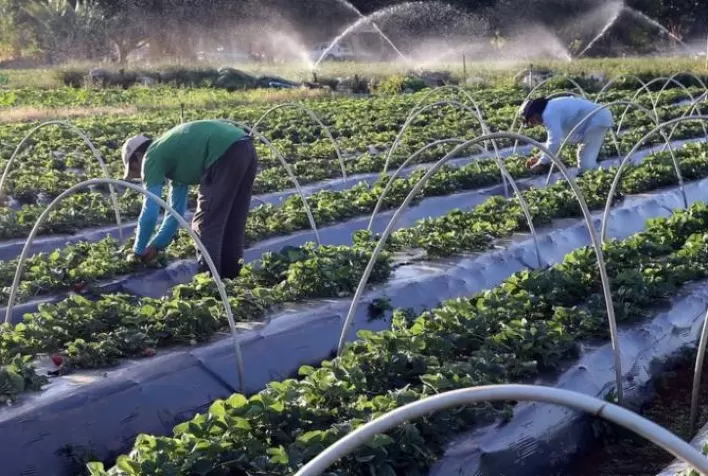 A quem interessa a briga agro x ambiente?