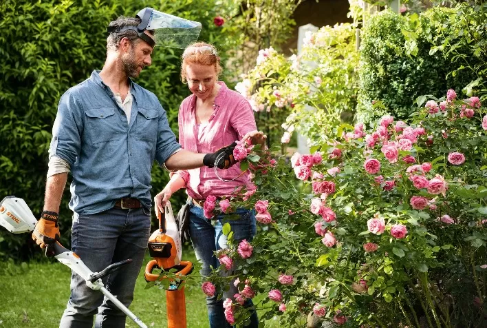 Curso EAD de jardinagem da STIHL comemora um ano com mais de 35 mil inscritos