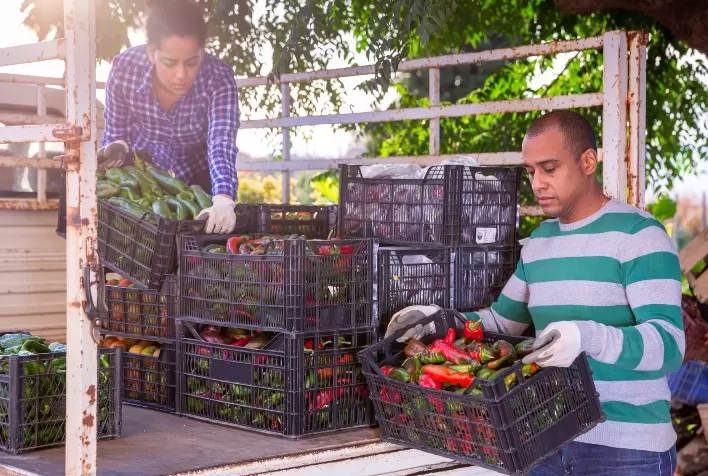 Cúpula de Sistemas Alimentares da ONU: Américas querem que agricultores sejam ouvidos