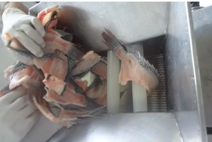 Considerada uma tecnologia disruptiva, Carne Mecanicamente Separada de pescado une melhor aproveitamento e promoção da alimentação saudável