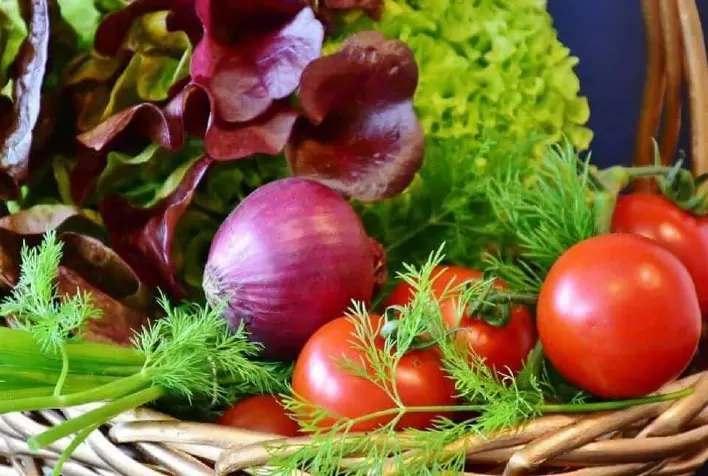 Estudos na UFLA buscam avaliar cientificamente os saberes populares do consumo de hortaliças não convencionais