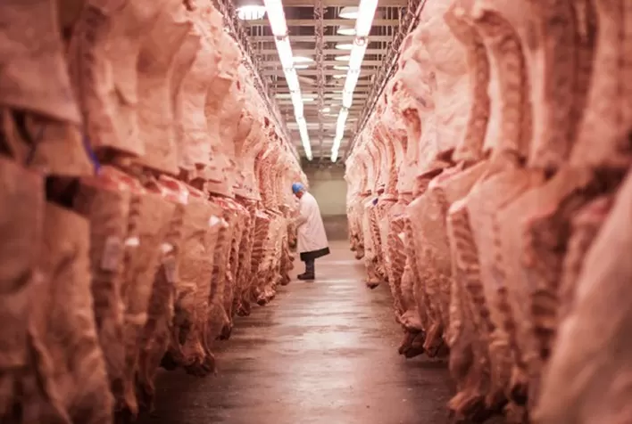 Exportações brasileiras de carne bovina crescem 9,7% em junho