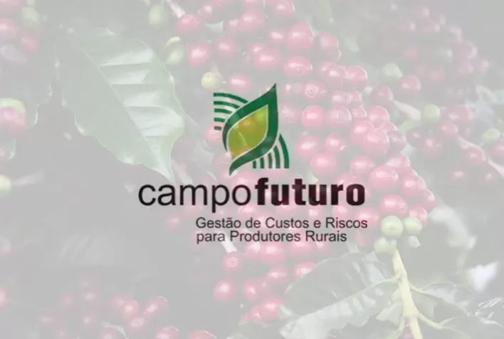 Custos de produção de grãos, suínos e cana-de-açúcar são levantados pelo Campo Futuro