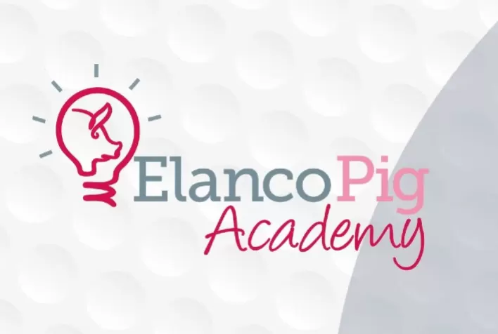 Elanco Saúde Animal lança programa de treinamento em suinocultura