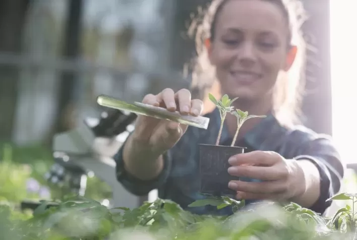 O Fundo Verde para o Clima acredita o IICA para a implementação de projetos de resiliência climática da agricultura