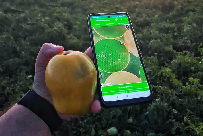 Agricultura digital avança na América Latina e aproxima empresas de tecnologia a produtores