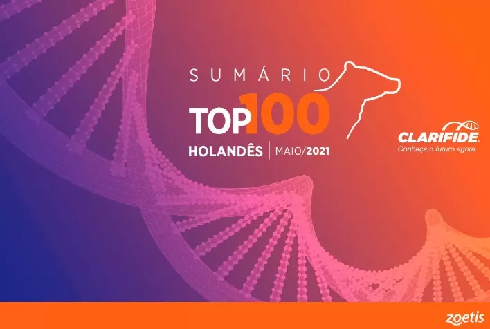 Sumário Top100 Clarifide - para um futuro mais assertivo, produtivo e rentável