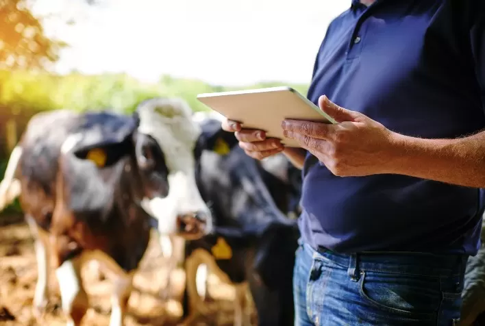 Ideagri lança inédito simulador de produtividade e faturamento para o produtor de leite
