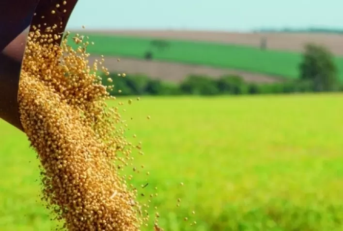 Soja tem leves altas à espera do novo USDA nesta 2ª feira e de olho no clima dos EUA