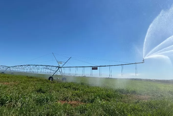 Irrigação começa a transformar solos arenosos em paisagens verdes