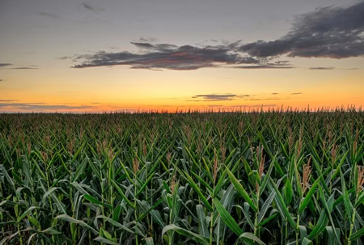 O plástico como catalisador da produtividade no campo