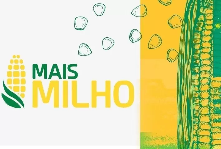 Mato Grosso sedia abertura nacional da colheita do milho 2020/21