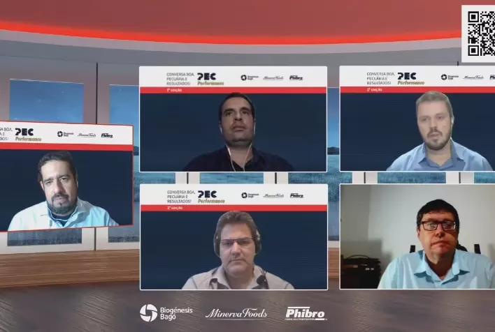 Programa de Eficiência de Carcaça (PEC) já abateu 72,5 mil bovinos, em 2021