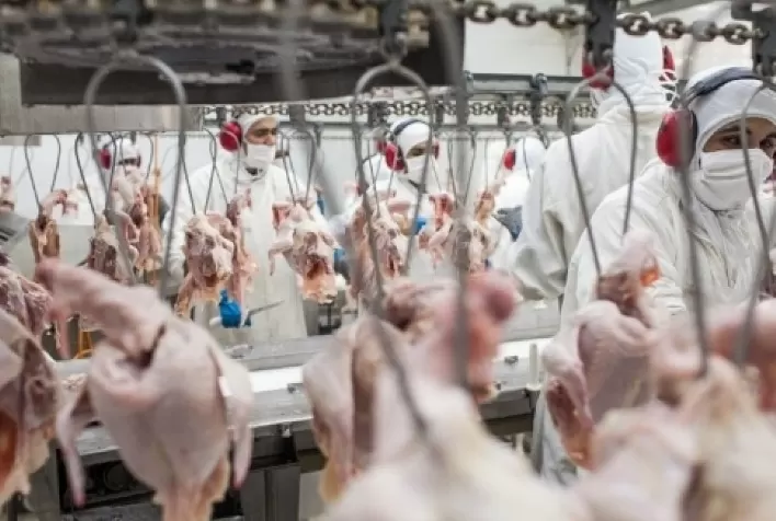 Nos EUA, USDA já projeta possível exportação de carne de frango do país em 2022