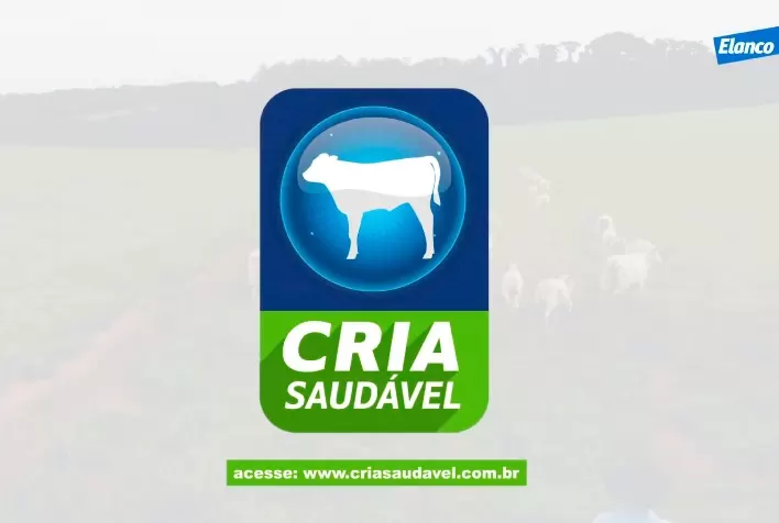 Elanco Saúde Animal lança Cria Saudável, plataforma de conhecimento especializado para pecuaristas