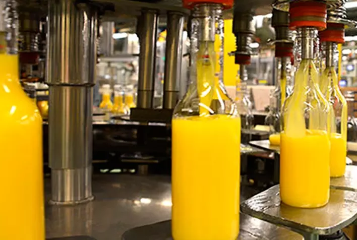 Alta na safra da UE eleva a produção de suco de laranja