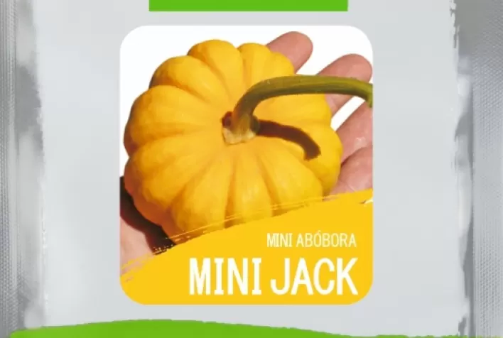 Mini abóboras com diferenciais gastronômicos e alta performance no campo fazem sucesso na ISLA Sementes