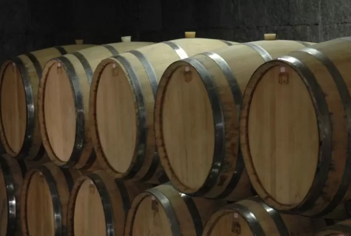 Vinhos de Altitude de Santa Catarina: nova Indicação Geográfica na região mais fria do Brasil