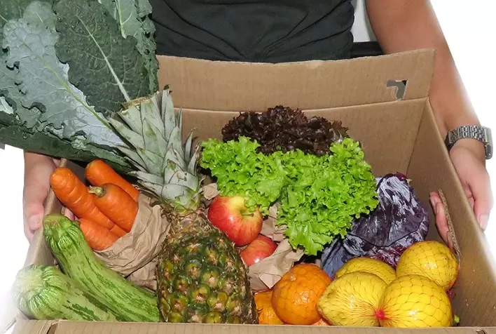A tecnologia a favor do desenvolvimento da agricultura orgânica