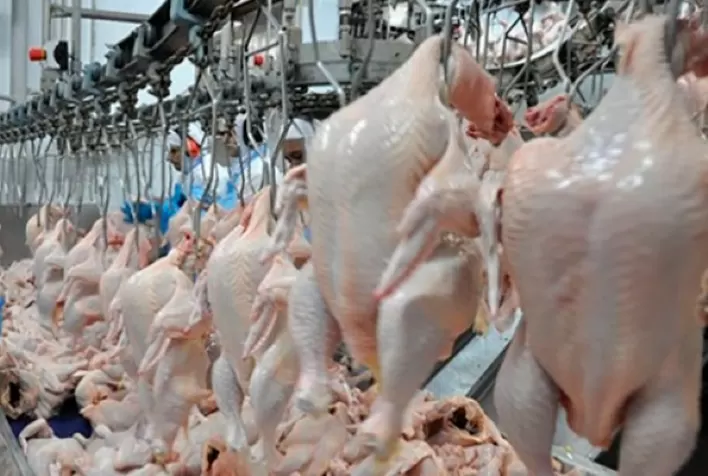 Carne de frango: desempenho das 22 UFs exportadoras de carne de frango no 1º semestre