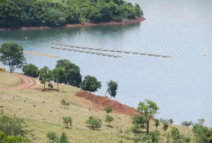 Estudo apresenta sistema para avaliar boas práticas de manejo na criação de tilápia em tanques-rede