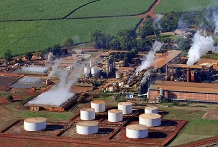 Jalles Machado investirá R$ 517 milhões para expandir moagem de cana