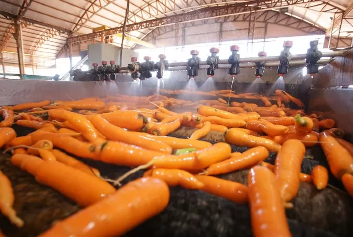 CNA discute autocontrole da defesa sanitária vegetal